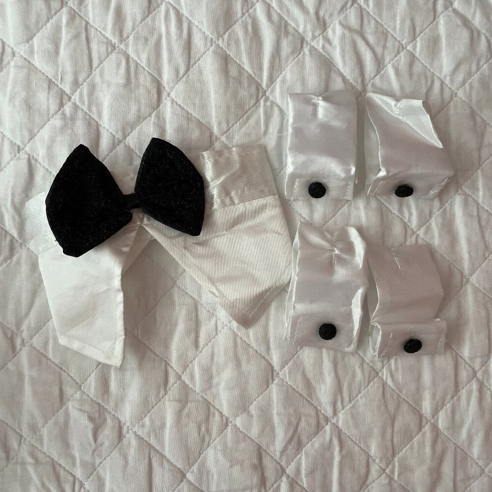 Black Tie for your Dog